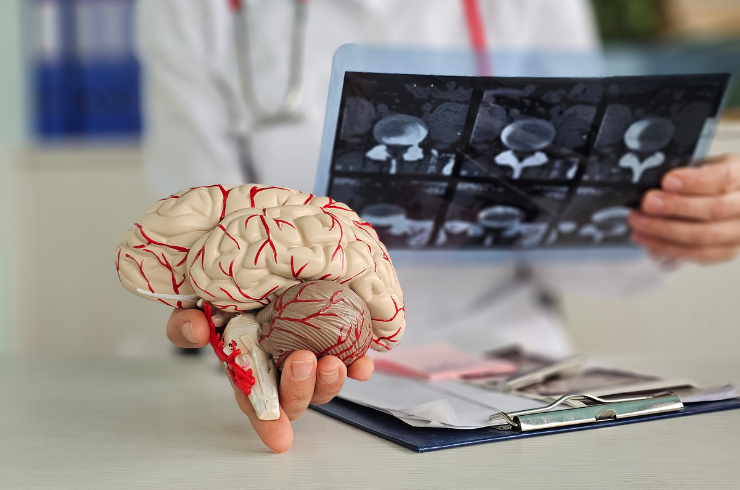 Neurology Services